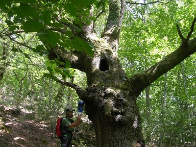 Aranzadiren Entomologia Sailean praktikak egiteko deialdia