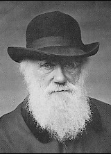 Charles Darwin omenduko dute lehenengoz gaur Bilbon