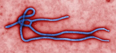 Ebolaz arituko da Guillermo Quindos UPV/EHUren Mikrobiologiako katedraduna datorren asteazkenean