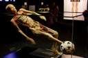 Giza gorpuaren barrena bidaiatzeko erakusketa Euskaldunan