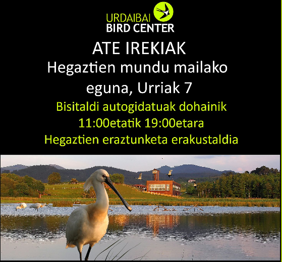 Hegaztien eraztunketa zientifikoa nola egiten den erakutsiko dute Urdaibai Bird Centerren igandean