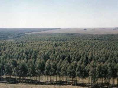 Ibaietan basa landaketek duten eraginari buruzko hitzaldi bi emango dira gaur Aranzadiren egoitzan