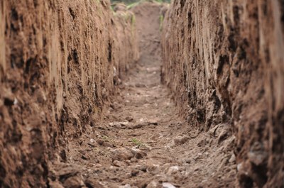 Laborategi arkeologiko batean parte hartzeko boluntarioak behar ditu Aranzadi Zientzia Elkartea