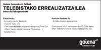 Telebistako errealizatzailea